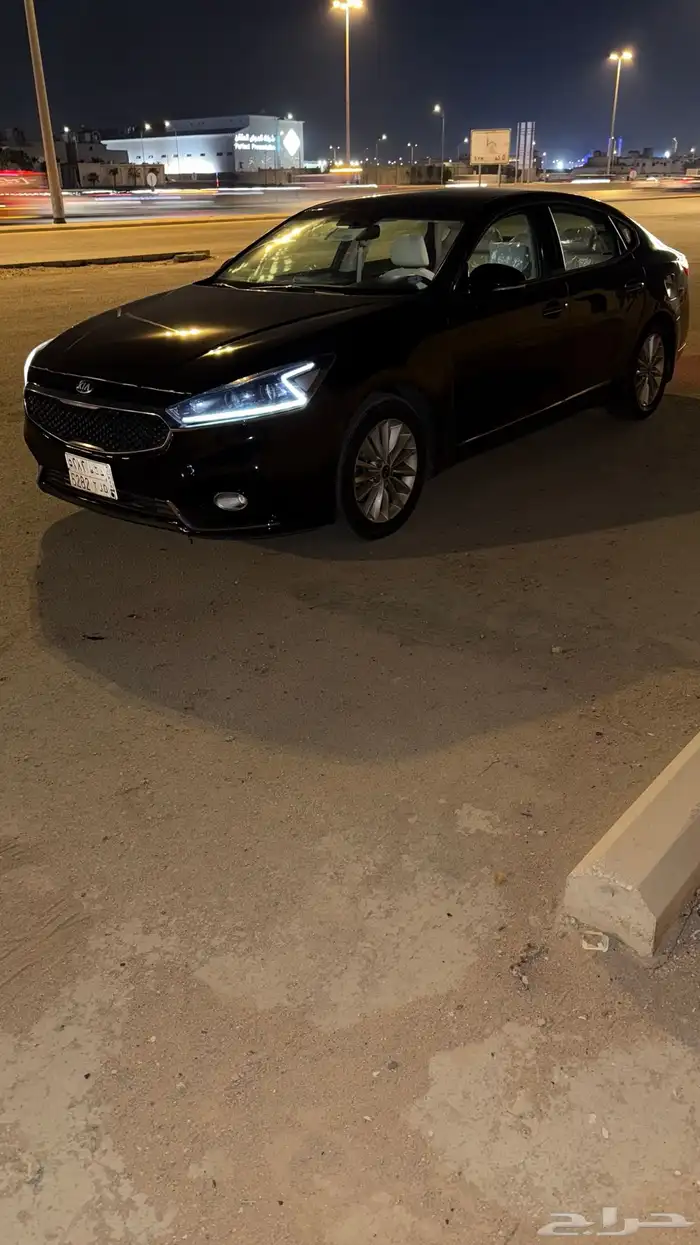 كادينزا 2017 1