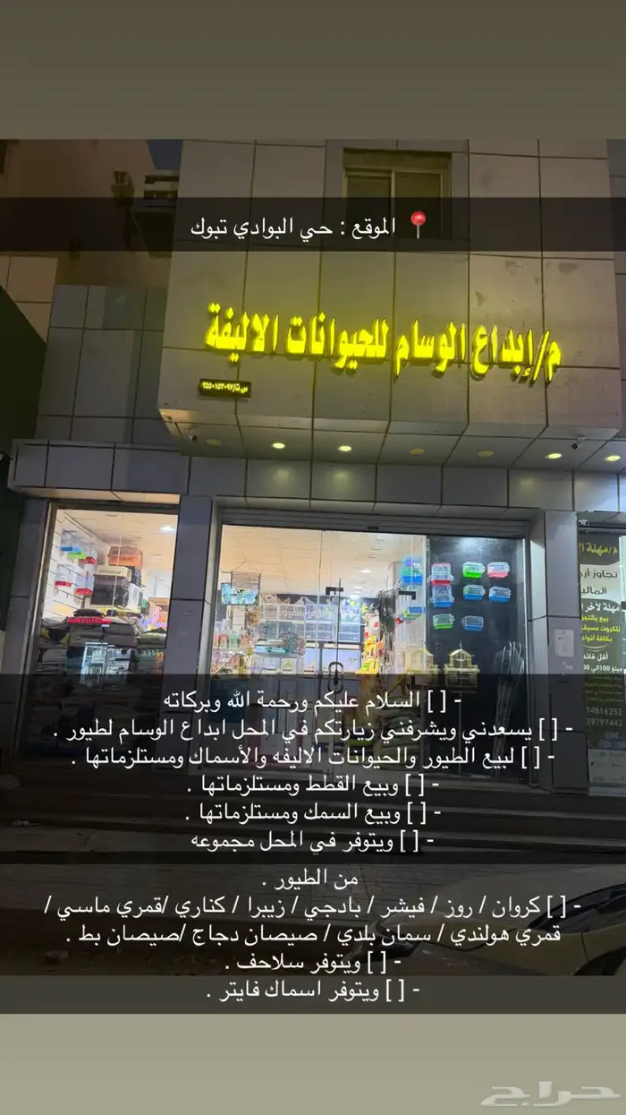 عصافير . قطط. حمام 0