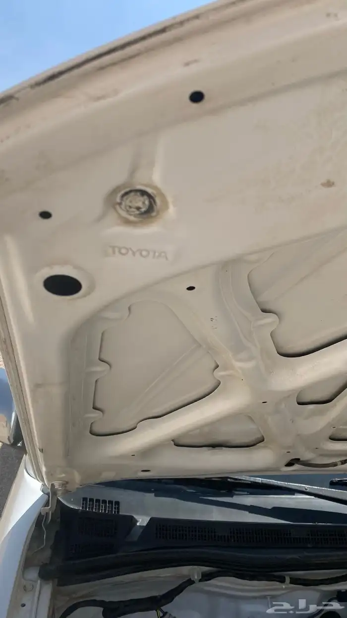 هايلقس 2015 غمارتين 8