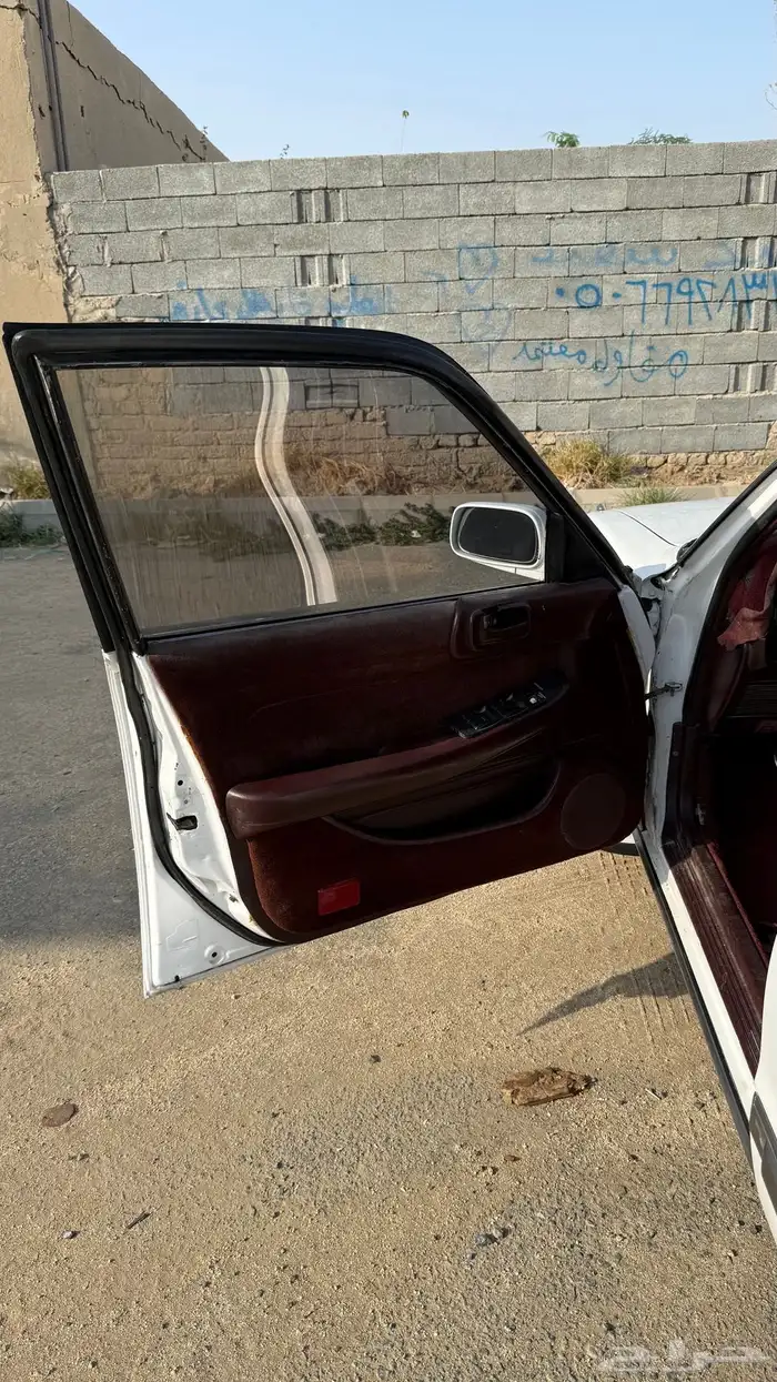 كرسيدا قراندي 1991 12