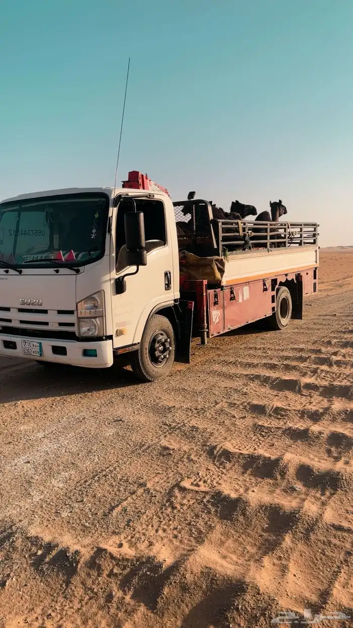 دنه ونش مفروشه جاهزه تحميل ابل غنام مكاين 0