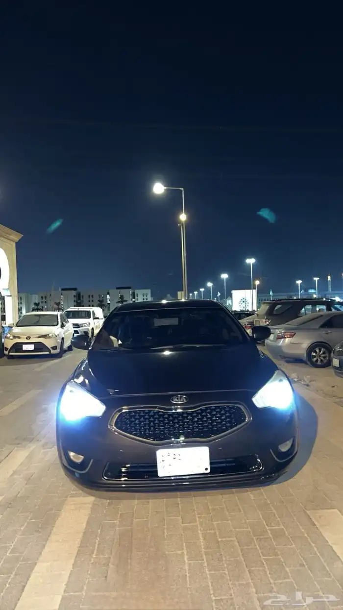 كادينزا 2014 14