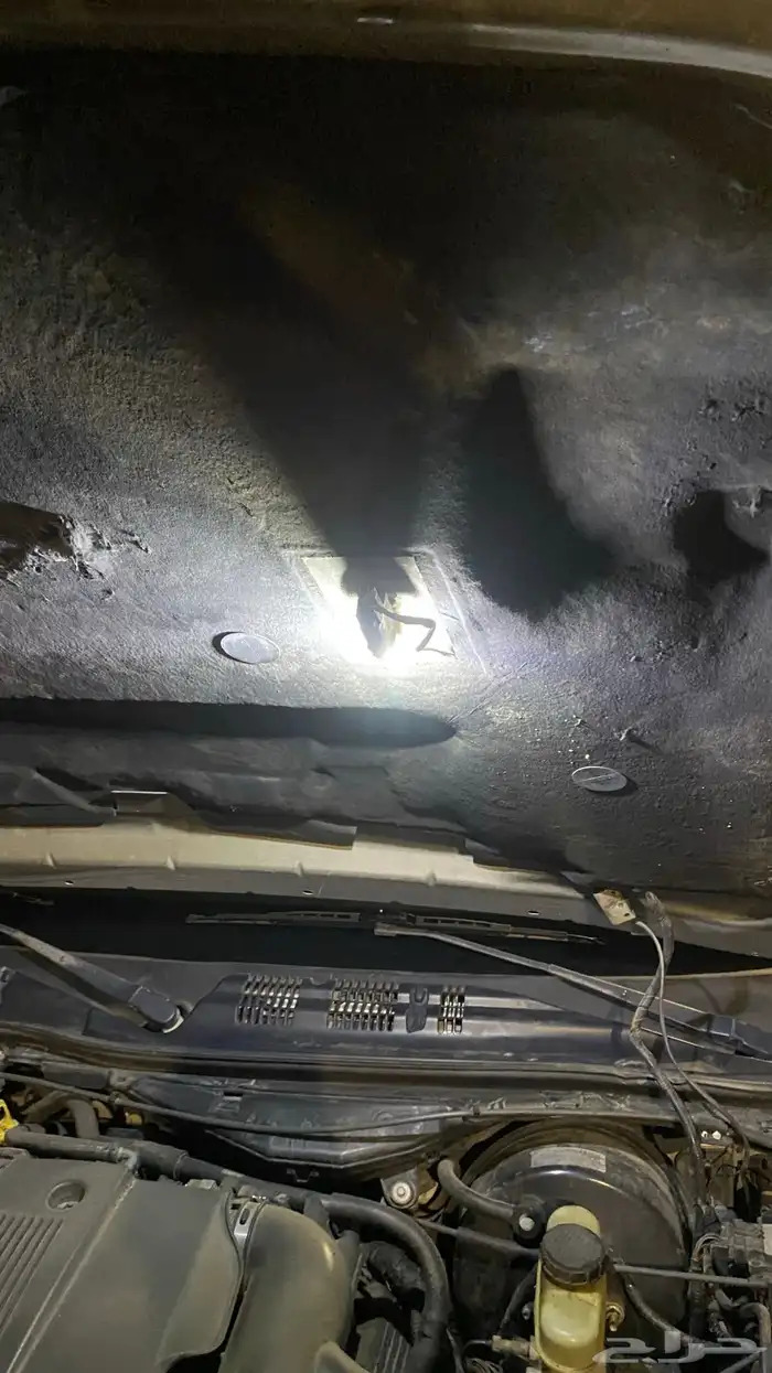 فورد ماركيز فئه نادره 36