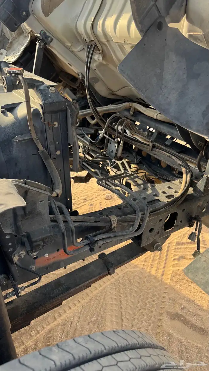 دنه اسيزو 2012 16