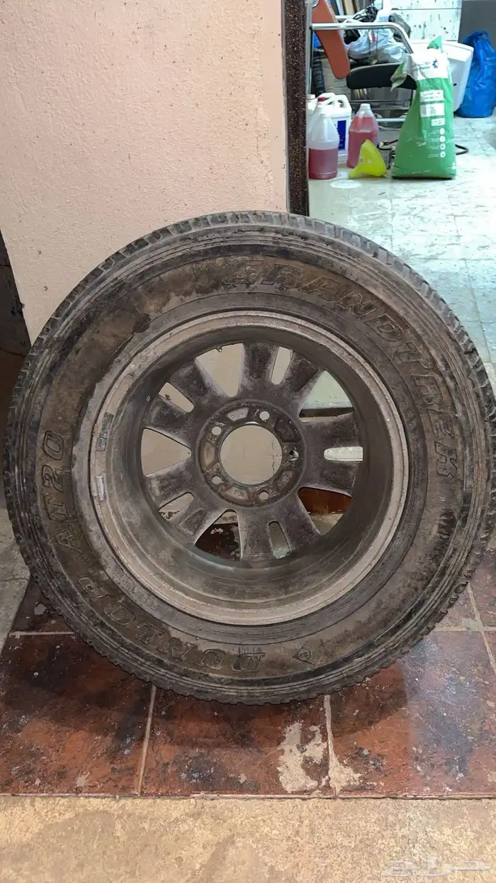 جنوط لاند 2012 8