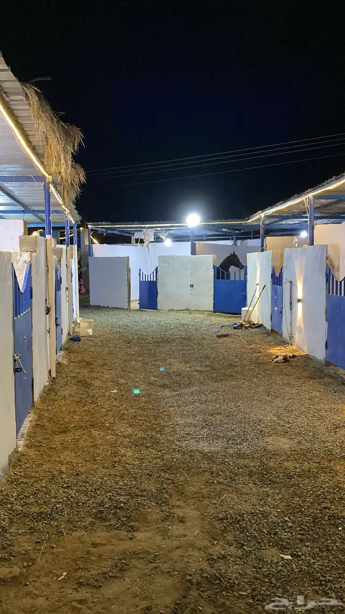 بوايك للايجار 0