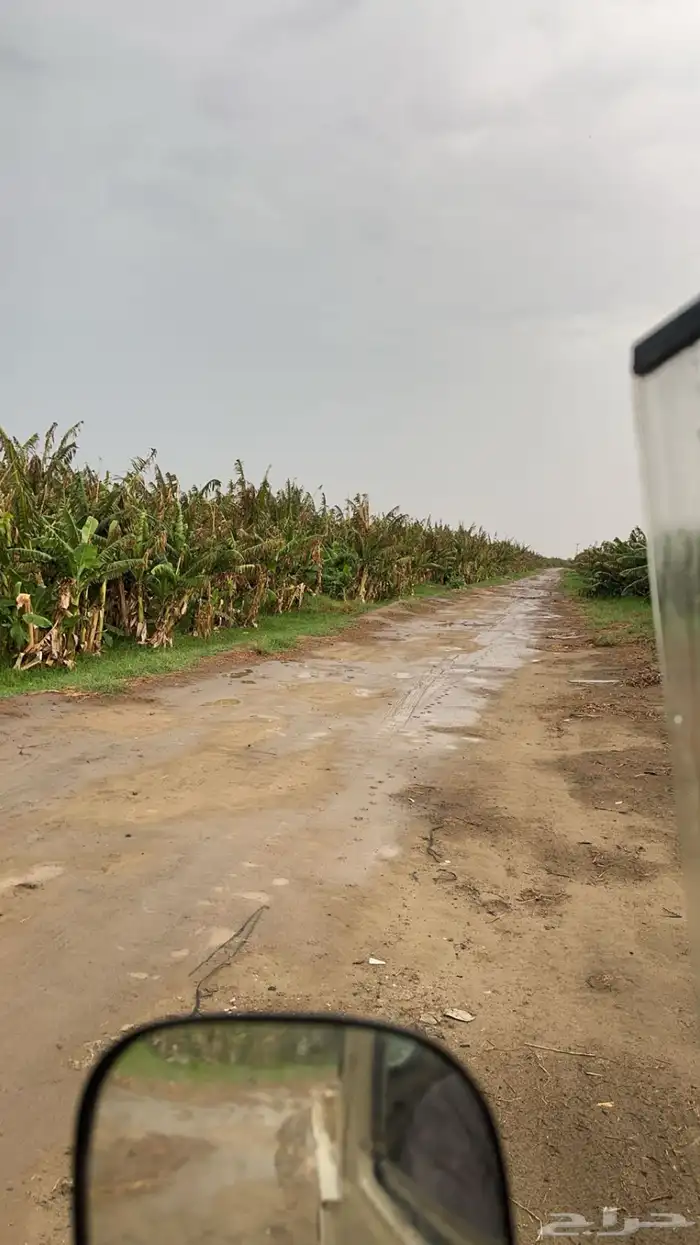 محتاج شريك ( عندي أرض زراعيه) 2