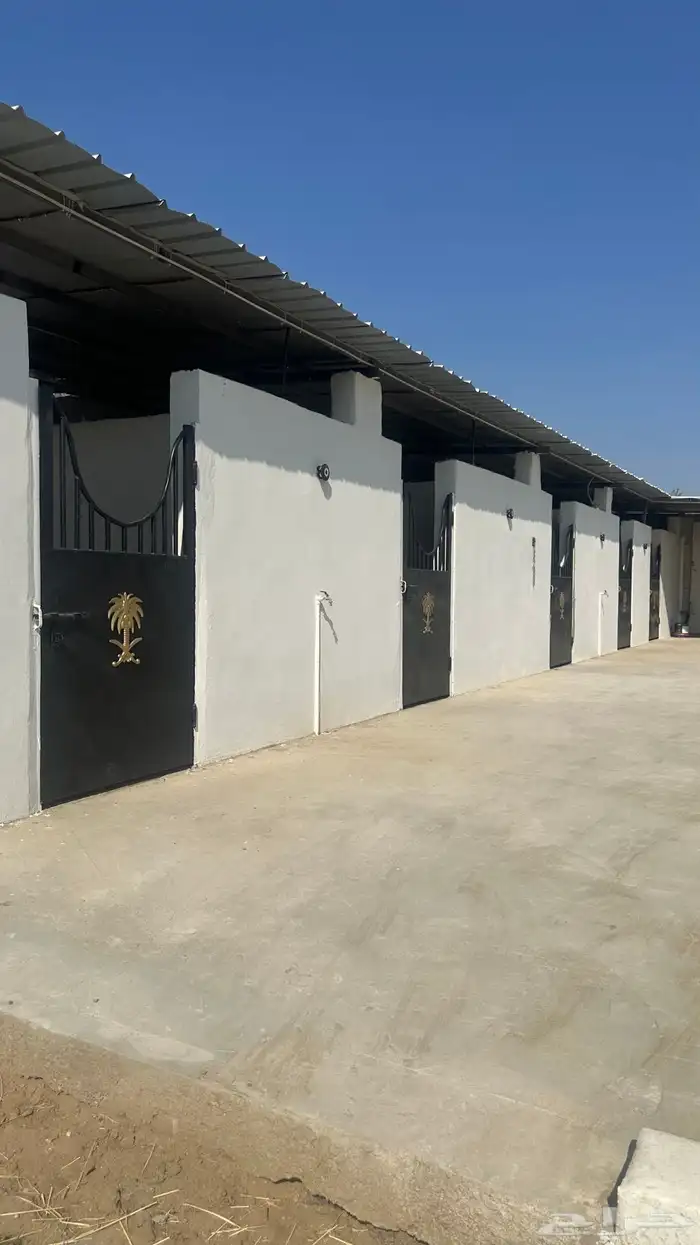 غرف ايواء خيل 5