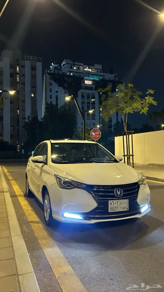 شانجان السفن 2022 فل كامل للبيع 2