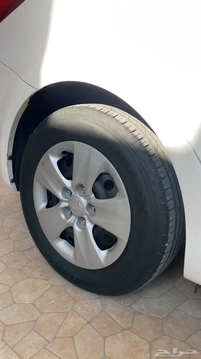 خدمة رش جنوط 9