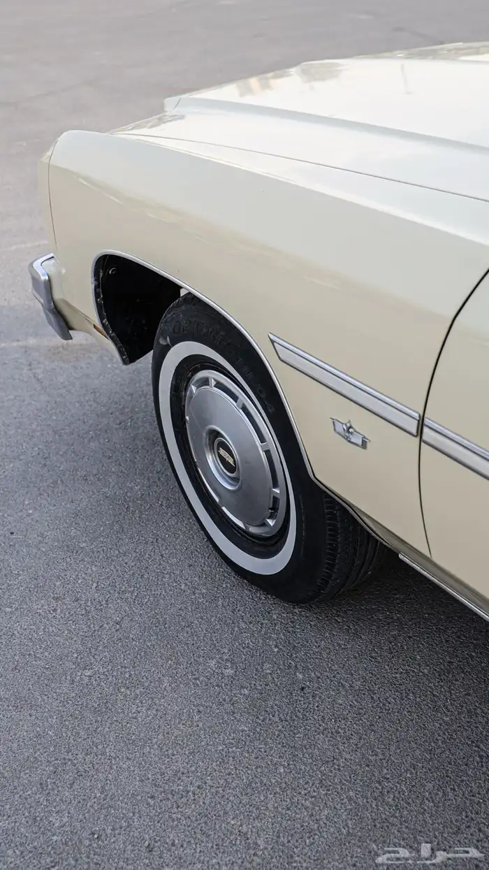 كابريس 1975 .. مخزن ( طلبيه ) 6