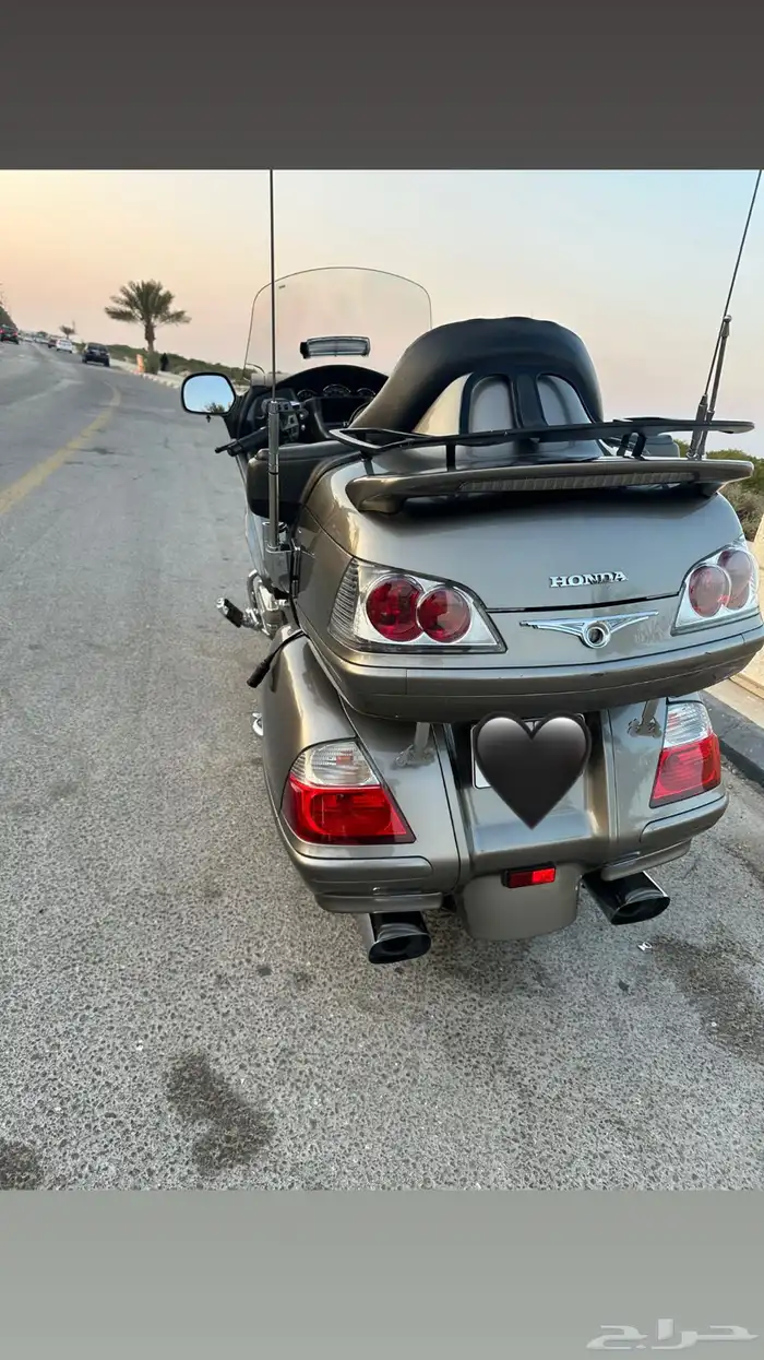 جولد وينج 2008 3