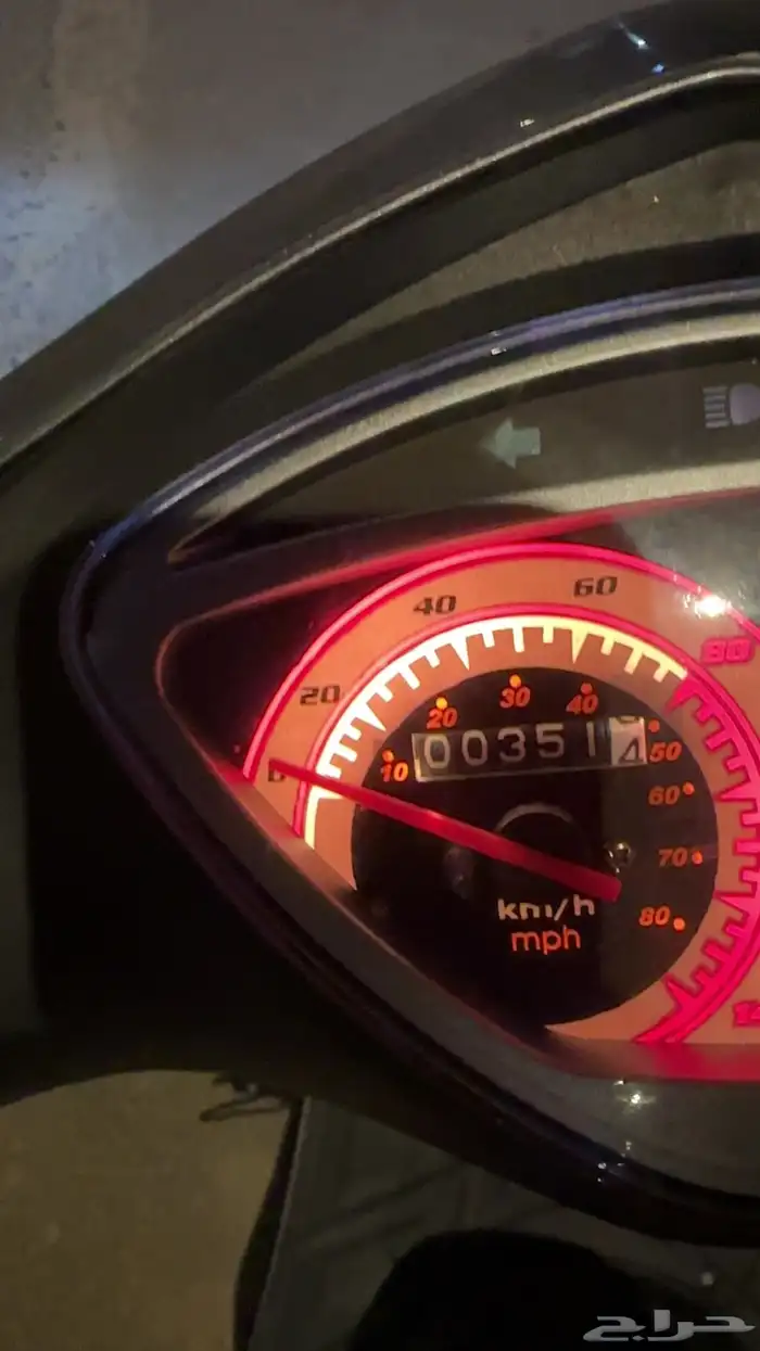 الدباب  بطة للبيع 6