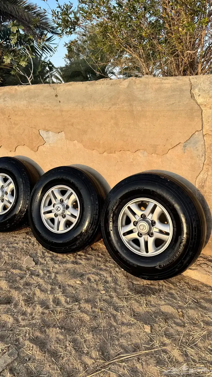 جنوط لكزس الحميد مع الأكواب 4