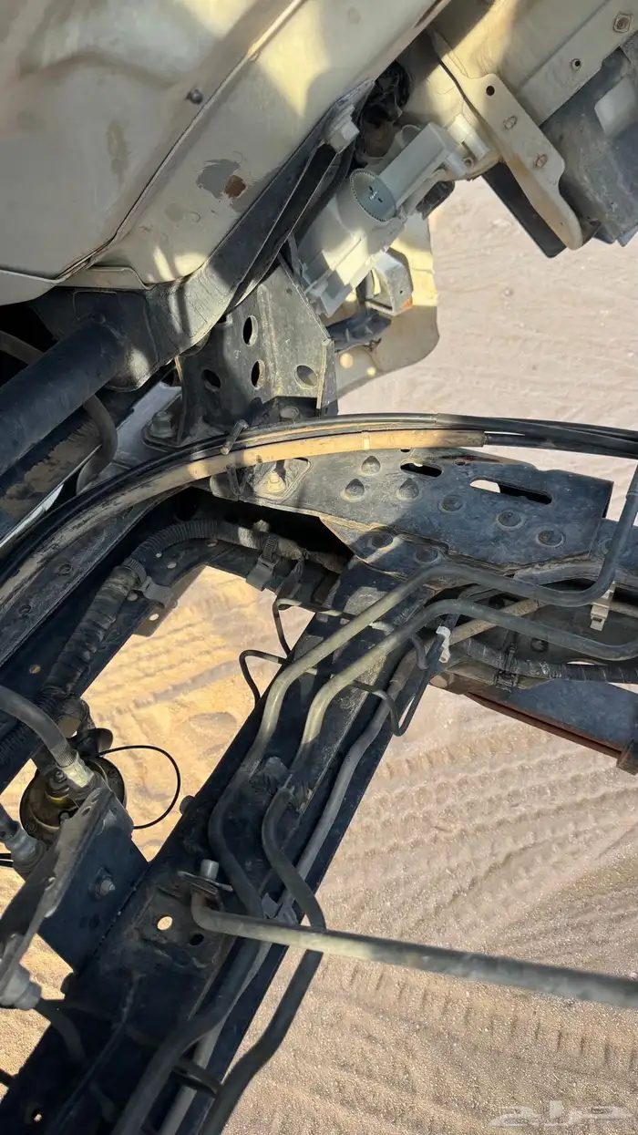 دنه اسيزو 2012 12