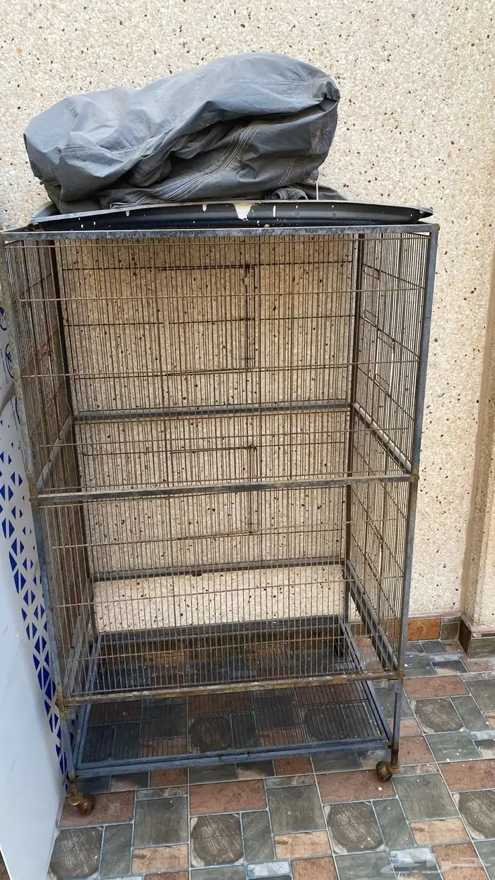 خرده على السوم 1