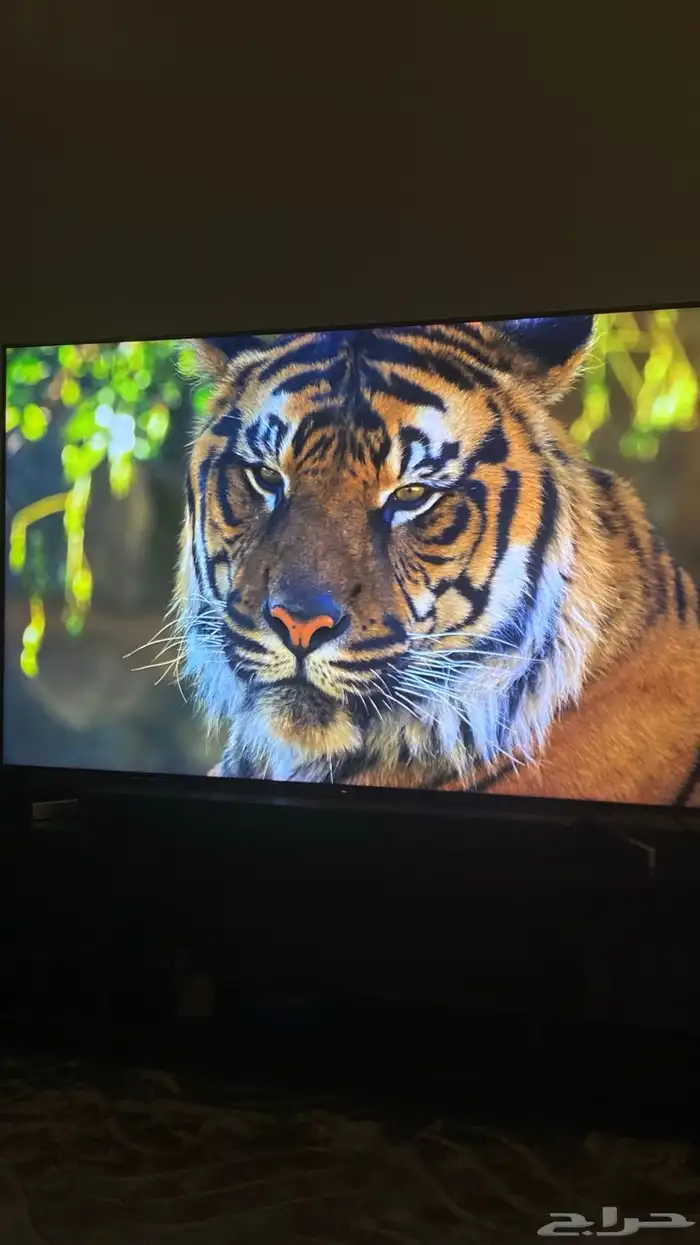 شاشة سوني 65 4k HDR موديل Sony KD-65X9000F 0