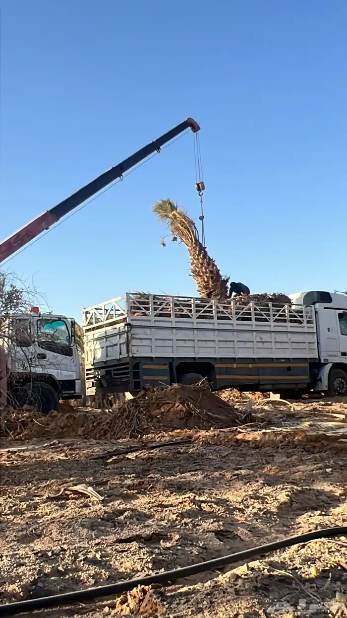 لتحميل وتوصيل 0