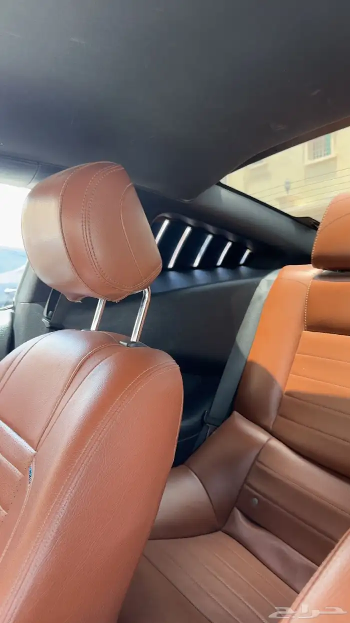 موستنق 2013 v6 12