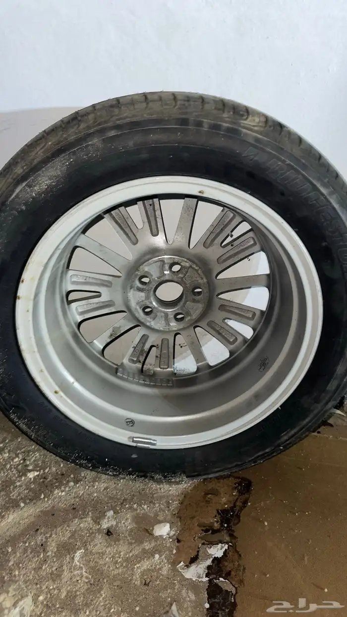 استبنة كوريلا 2015 بلد 2