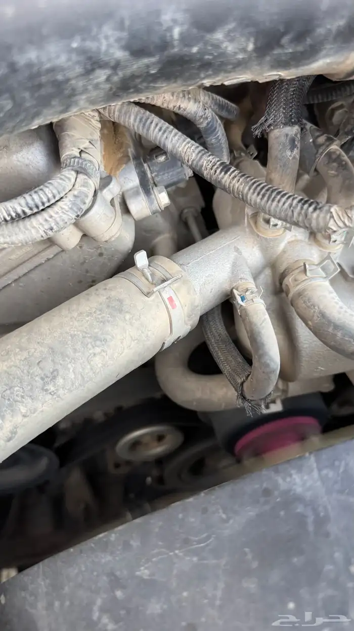 للبيع شاص مخزن 62