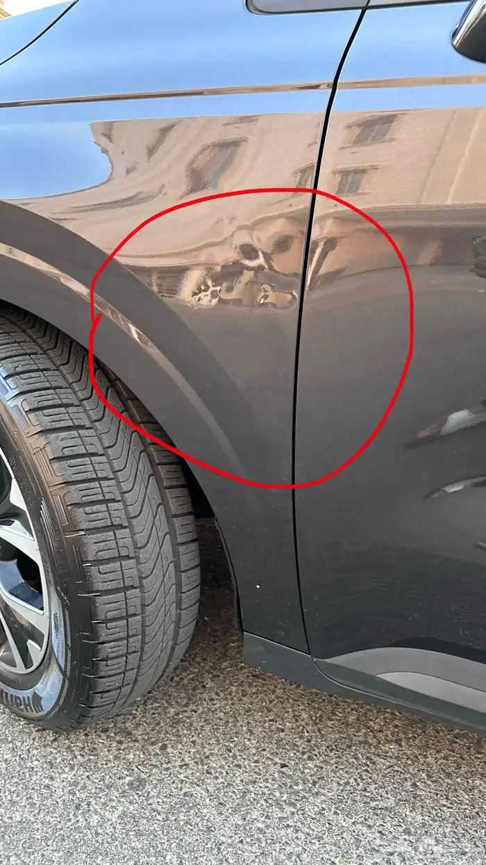 كرنفال ديزل 2021 3