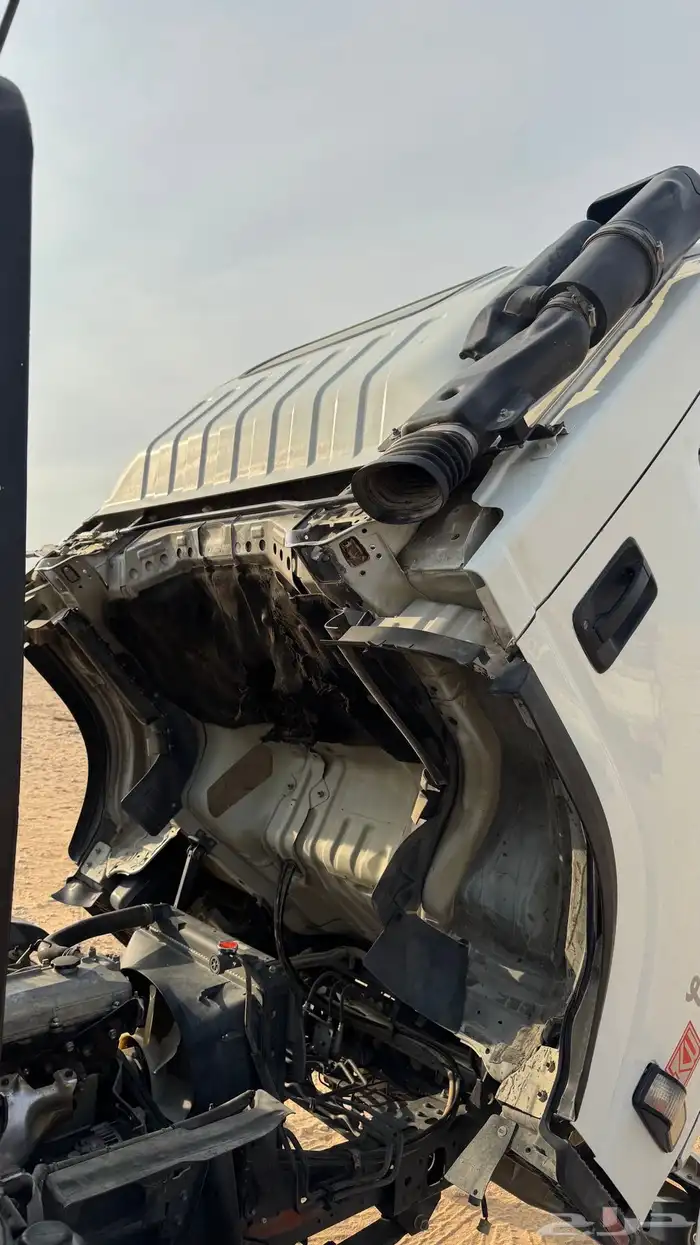 دنه اسيزو 2012 14