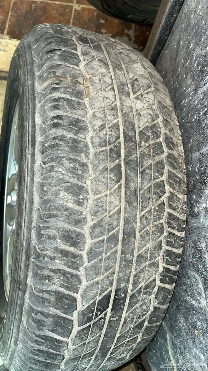 جنوط لاند 2012 2