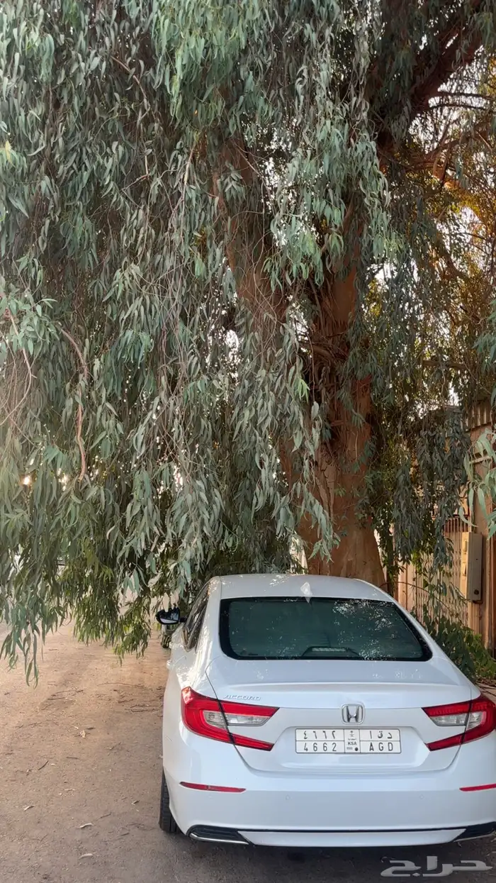 اكورد 2018 ستاندر 15