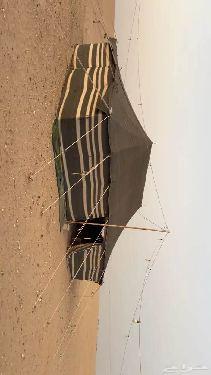 بيت شعر نضيف 11في 6 1