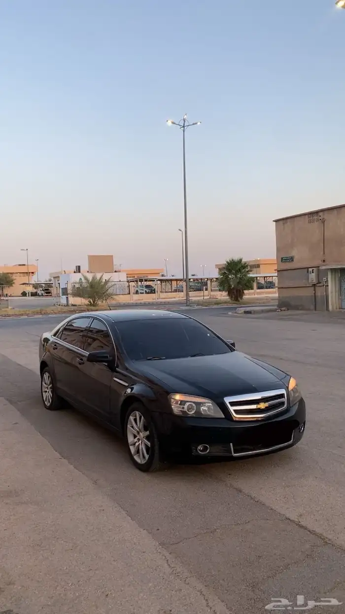 كابرس 2008 معدل داخلي 2013 0