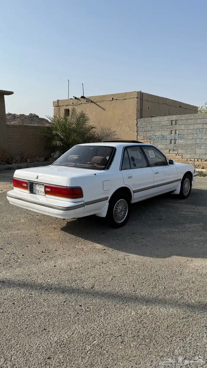 كرسيدا قراندي 1991 20