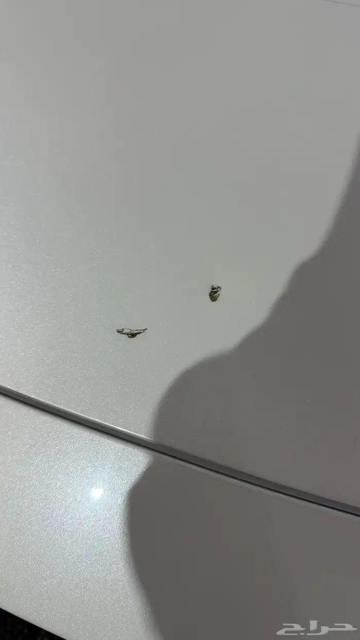 مازدا 2021 فل كامل 10