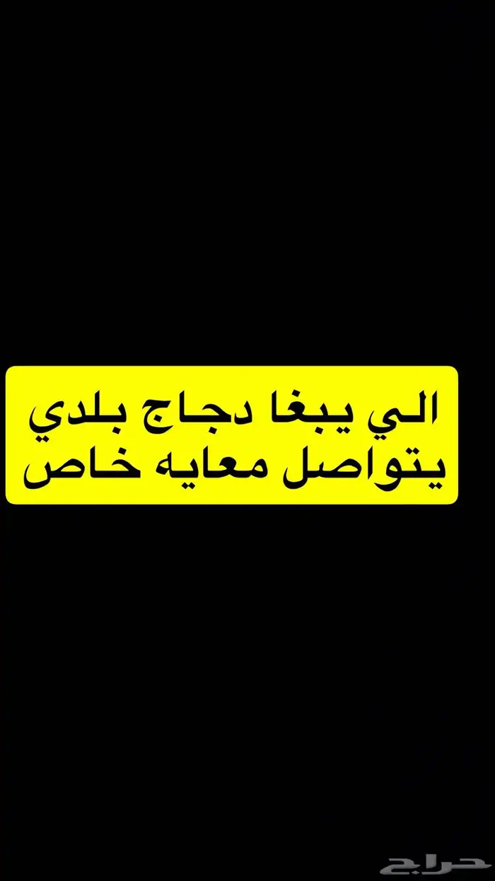 الحيوانات 0