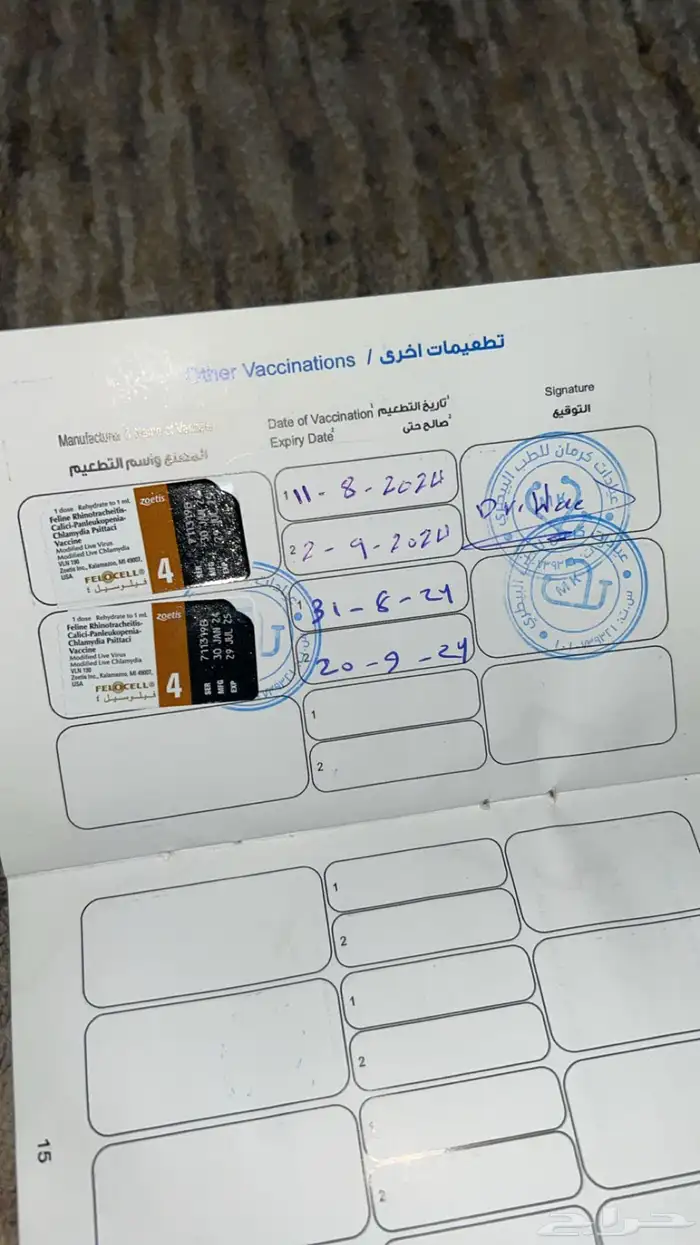 قطوه شيرازيه 2