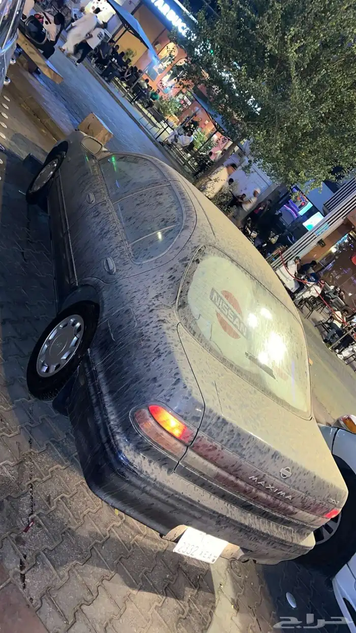 مكسيما موديل 1998 4