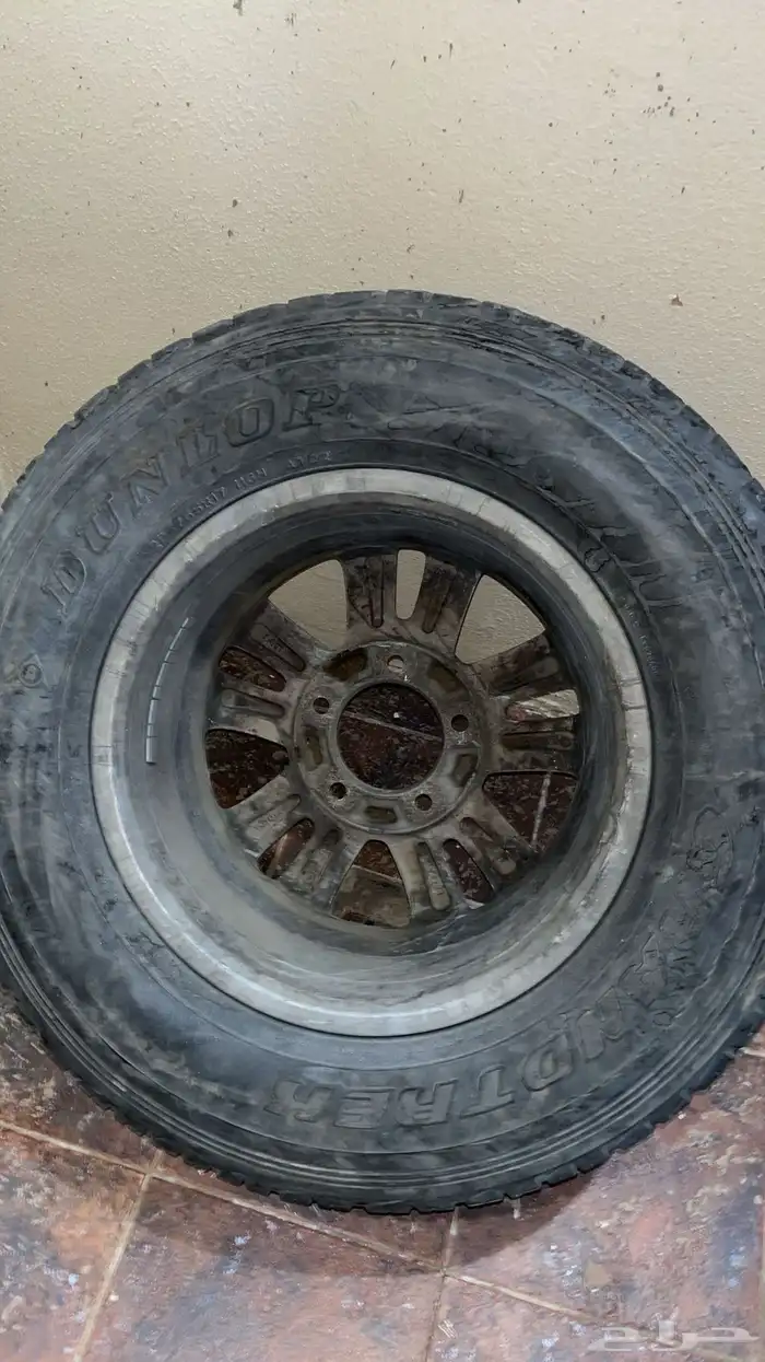 جنوط لاند 2012 10