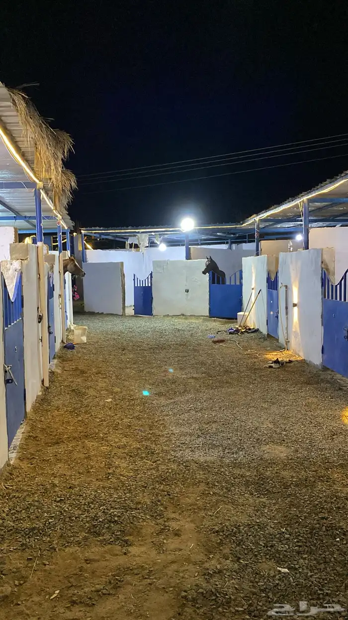 بوايك للايجار 1