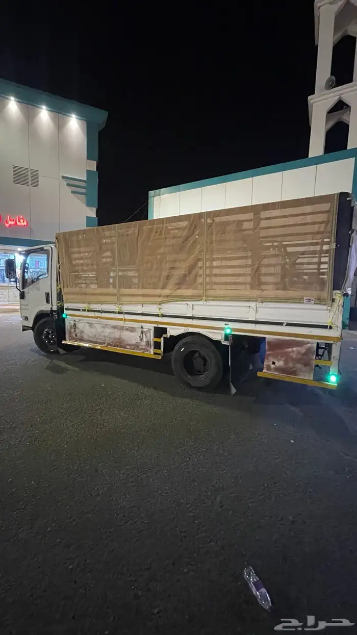 دينا شبك للنقل 1