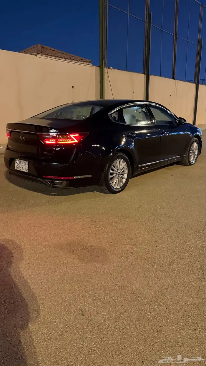 كادينزا 2017 5