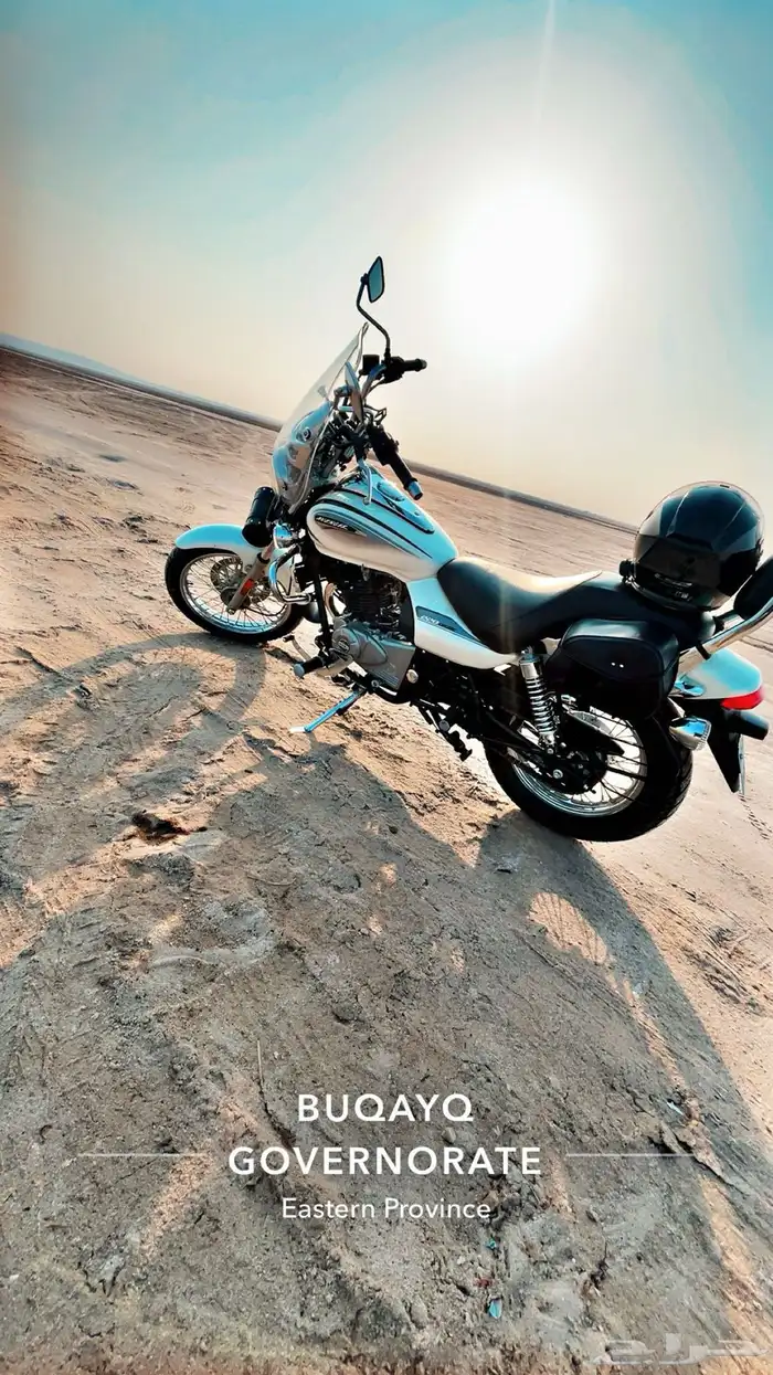 دباب للبيع بجاج افنجر 1