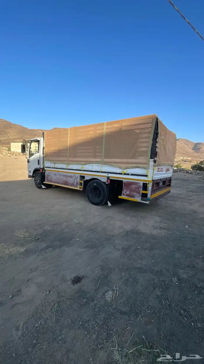 دينا شبك للنقل 0