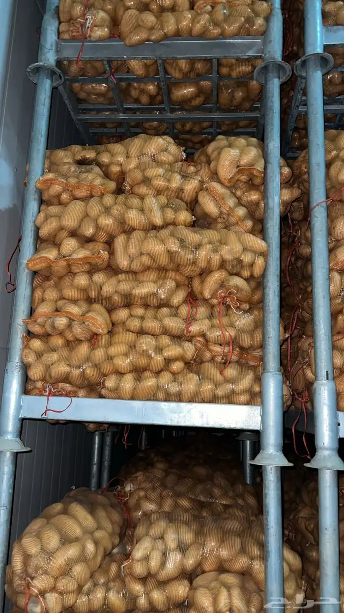 خضار بطاطس 0