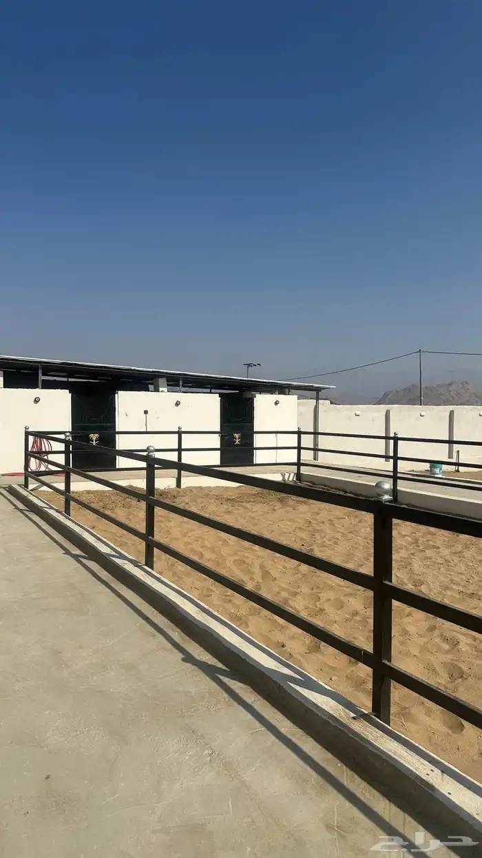 غرف ايواء خيل 3