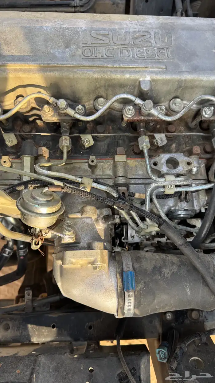 دنه اسيزو 2012 11