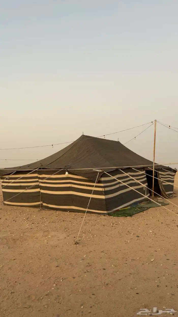 بيت شعر نضيف 11في 6 0