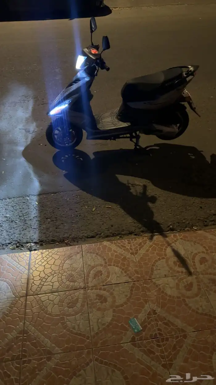 الدباب  بطة للبيع 11