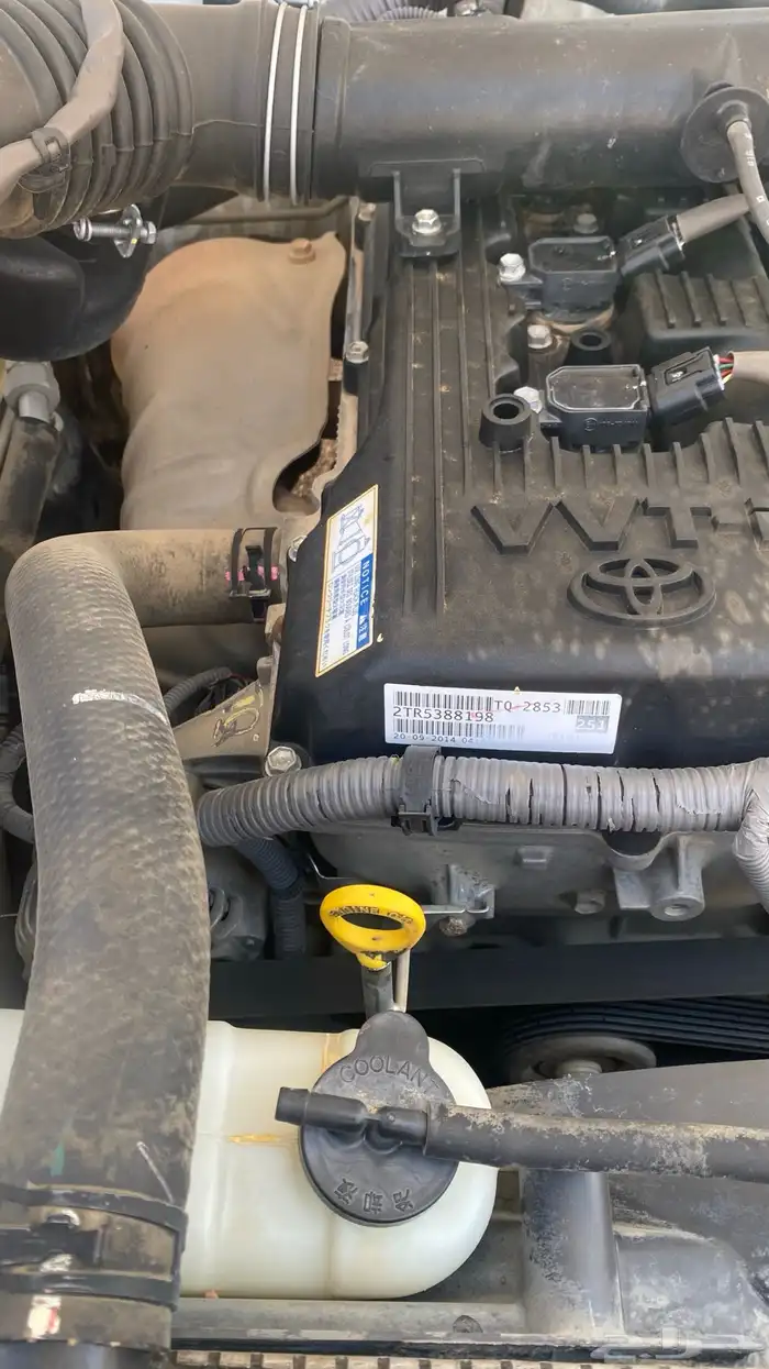 هايلقس 2015 غمارتين 7