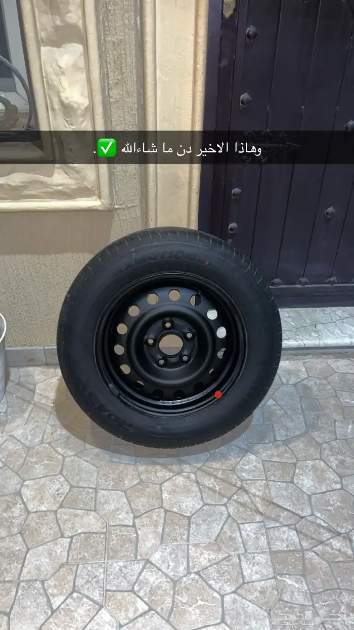 خدمة رش جنوط 8