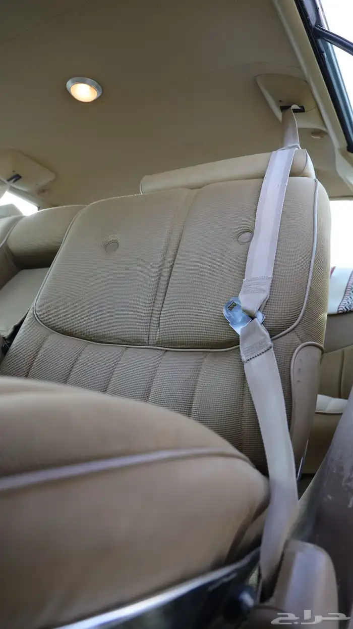 كابريس 1975 .. مخزن ( طلبيه ) 17